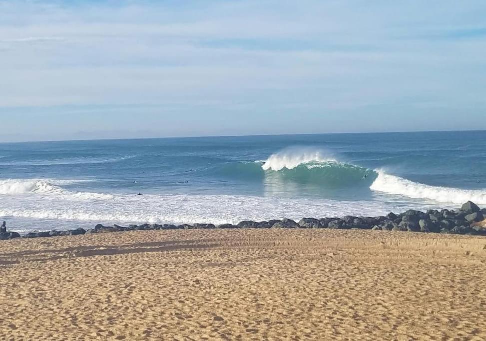 Appartement A 70M De La Plage Et L Estacade De Capbreton Kültér fotó